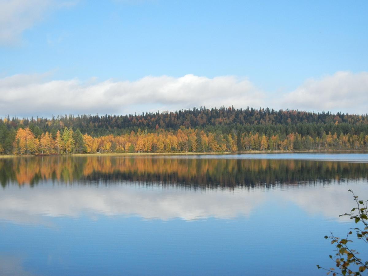 Isokenkaisten Klubi - Wilderness Lodge Kiviperä Exteriör bild