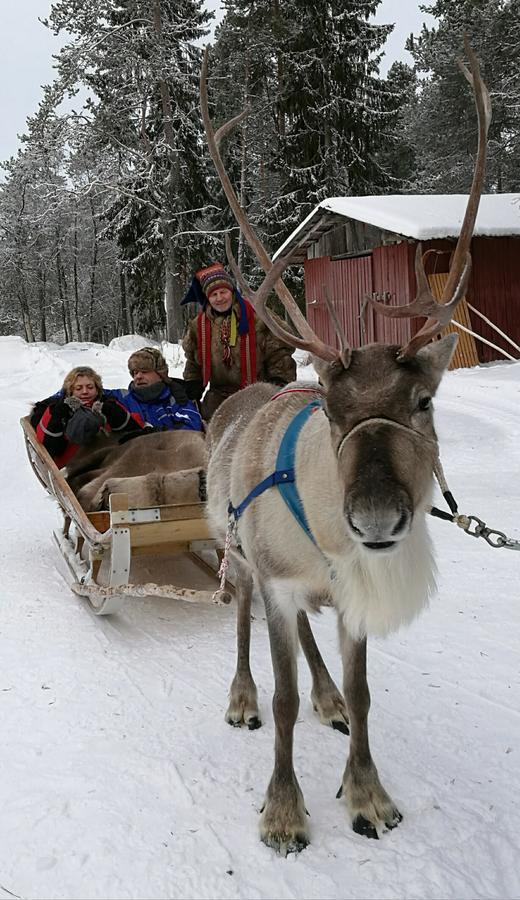 Isokenkaisten Klubi - Wilderness Lodge Kiviperä Exteriör bild