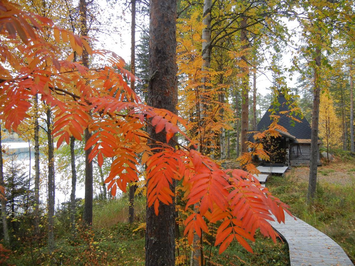 Isokenkaisten Klubi - Wilderness Lodge Kiviperä Exteriör bild